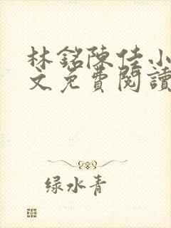 林铭陈佳小说全文免费阅读封面