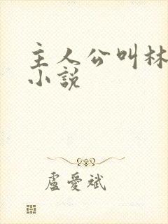 主人公叫林婉的小说封面