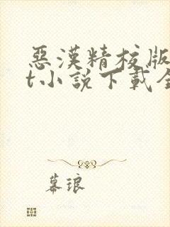 恶汉精校版txt小说下载全本