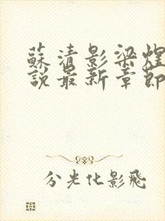 苏清影梁煜川小说最新章节更新内容