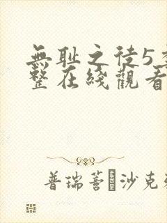 无耻之徒5季完整在线观看高清美剧普通话