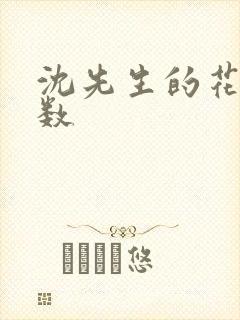 沈先生的花式调数