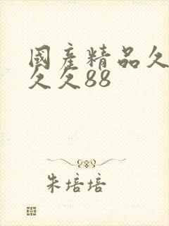 国产精品久久久久久88封面