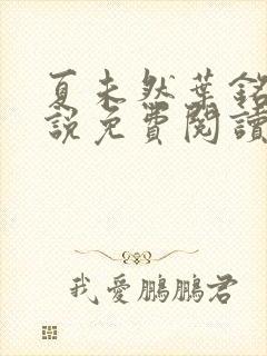 夏未然叶铭恩小说免费阅读最新章节