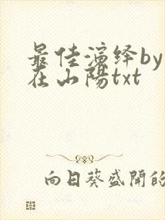 最佳演绎by妾在山阳txt