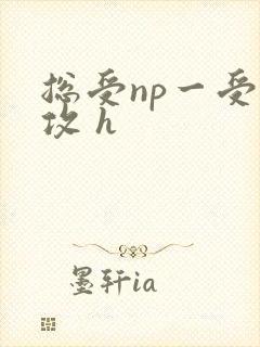 总受np一受多攻 h封面
