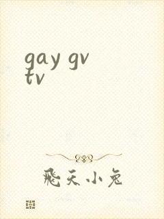 gay gv tv封面