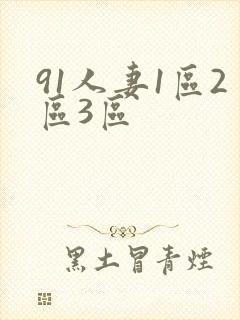 91人妻1区2区3区