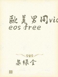 欧美男同videos free