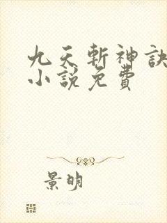 九天斩神诀林辰小说免费