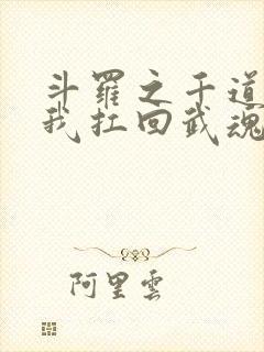 斗罗之千道流把我扛回武魂殿