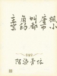 主角叫唐枫温碧云的都市小说封面