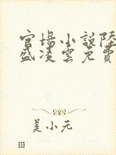 官场小说陆羽与盛凌云免费阅读