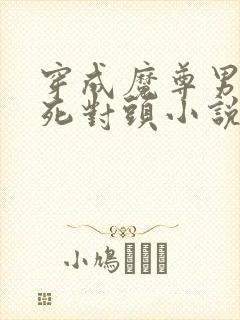 穿成魔尊男主的死对头小说