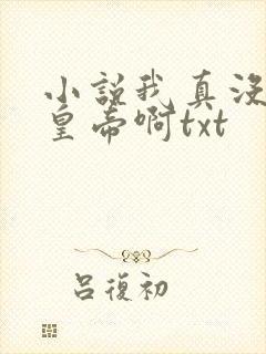 小说我真没想当皇帝啊txt封面