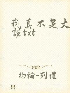 我真不是大佬小说txt