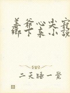 姜爷心尖宠她从乡下来小说