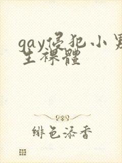 gay侵犯小男生裸体