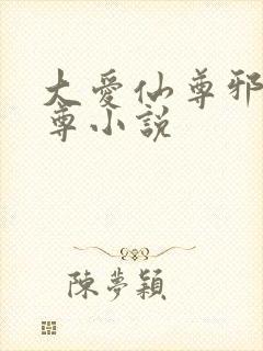 大爱仙尊邪魔淫尊小说封面