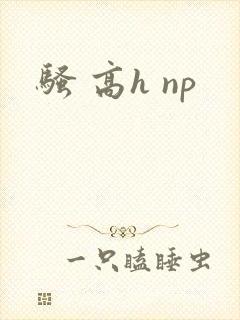 骚 高h np