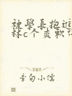 被学长抱进小树林c个爽软件封面