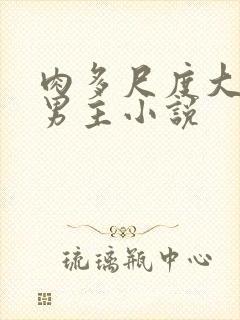 肉多尺度大的双男主小说