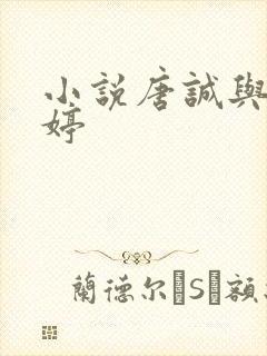 小说唐诚与马玉婷封面