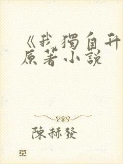 《我独自升级》原著小说