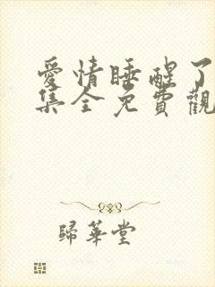 爱情睡醒了40集全免费观看电视剧西瓜