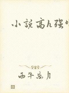 小说高h强啊