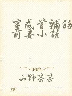 穿成首辅的炮灰前妻小说