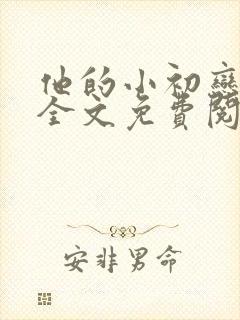 他的小初恋小说全文免费阅读封面