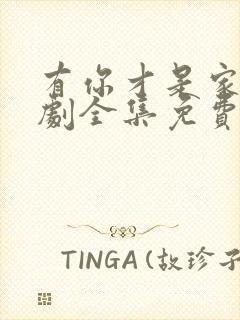 有你才是家电视剧全集免费观看高清封面