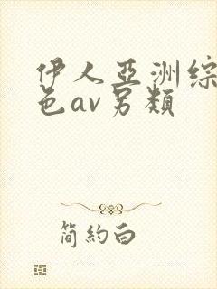 伊人亚洲综合网色av另类