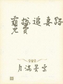 霸总追妻路漫漫免费封面