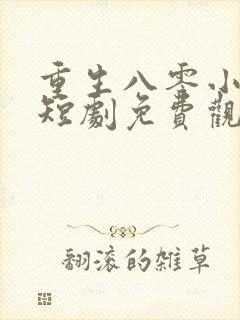 重生八零小辣媳短剧免费观看