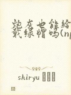 炮灰也能给男主戴绿帽吗(np)封面