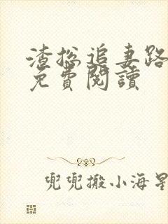 渣总追妻路漫漫免费阅读