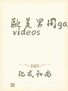 欧美男同gay videos