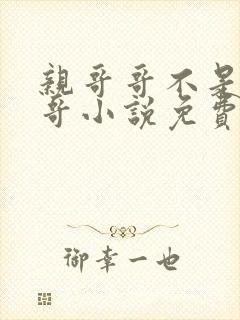 亲哥哥不是我哥哥小说免费阅读