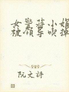 女警蒋小娟的奶被领导吃掉了封面