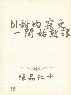 bl甜肉宠文 一开始就很宠