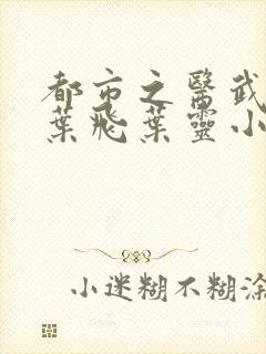 都市之医武狂少叶飞叶灵小说