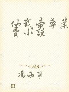 仙武帝尊叶辰免费小说封面