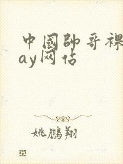 中国帅哥裸体gay网站