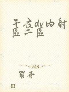 午夜dv内射一区二区