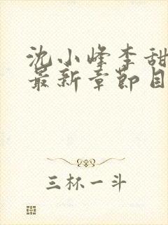 沈小峰李甜小说最新章节目录笔趣阁