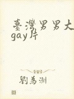台湾男男大尺度gay片