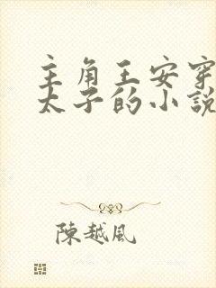 主角王安穿越成太子的小说封面