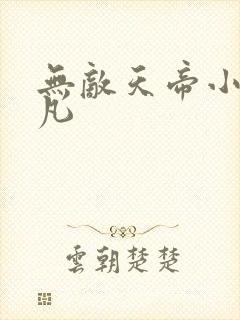 无敌天帝小说叶凡